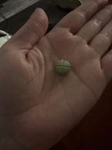 T.bbyxo review photo