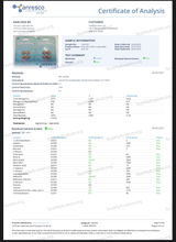 Tab Reviewer review photo