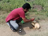 Shreetharan review photo