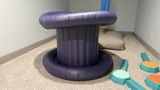 CJ review photo