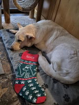 Elizabeth Kemp review photo