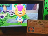 Amanda S. review photo