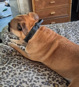 Bernice review photo