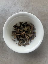 Mauritz M. review photo