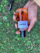 Monwabisi Cele review photo