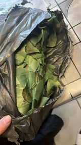 Leandro P review photo