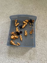Erin review photo