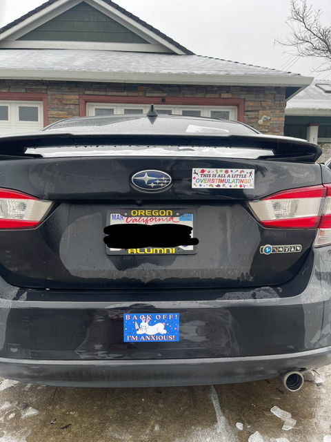 Overstimulating Bumper Sticker