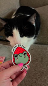 MissFancypants review photo