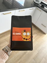 EL GATO - VERACRUZ