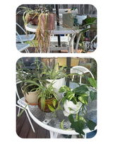 Renee G. review photo