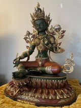 Pradeep A. review photo