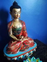 Satya R. review photo