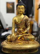 Dorjee T. review photo
