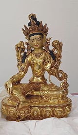 Tashi W. review photo
