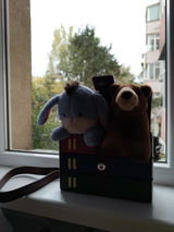Alexandru G. review photo