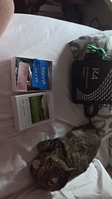 Kylie S. review photo