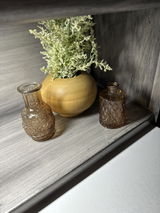 Ann rodino review photo