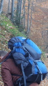 N. Sinclair review photo