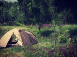 Travis Ellington review photo