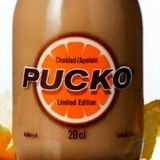 andy pucko review photo
