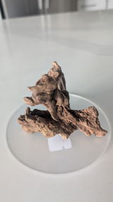 Ilia review photo