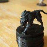 Kim review photo