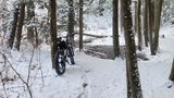 New Englander review photo