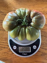 Tucker t.F. review photo