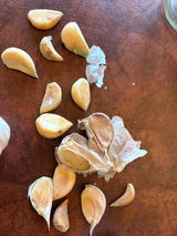 Lostlie review photo