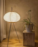 Taima review photo