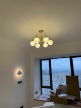 HarrisonShantrell review photo