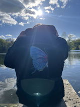 Damiens review photo