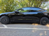 Wlad K. review photo