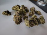 Hunter review photo