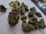 Hunter review photo