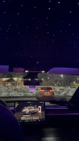 Model Y Performance review photo