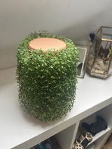 julie review photo