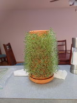 Susie Davis review photo