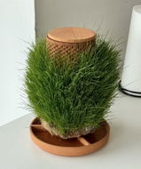 Mendel Z review photo