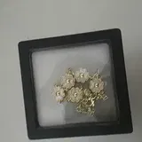 l**1 review photo