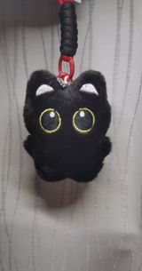 EarlyCat review photo