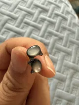 James Leblanc review photo