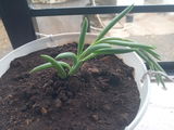 Swapnil K. review photo