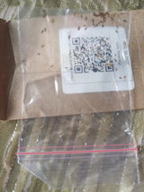 Swapnil K. review photo