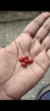 Sonu V.V. review photo