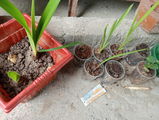 Aakash P. review photo