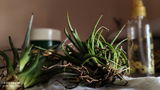 Jayesh M. review photo