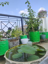 Vimal S. review photo