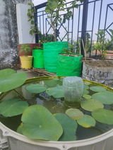 Vimal S. review photo